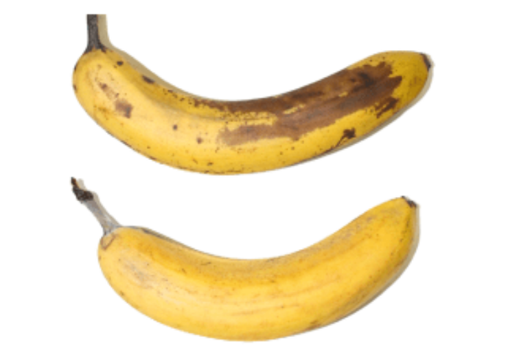 香蕉生态涂料